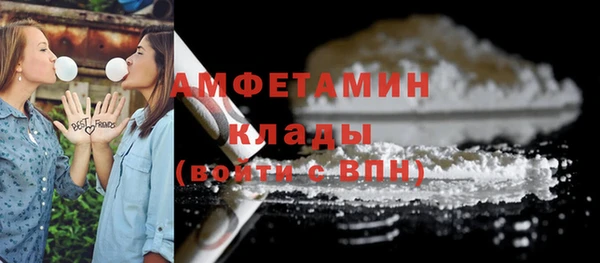 амф Бородино