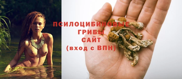 прущая мука Бронницы