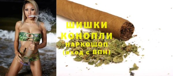 амф Бородино