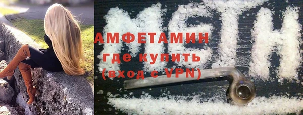 амф Бородино