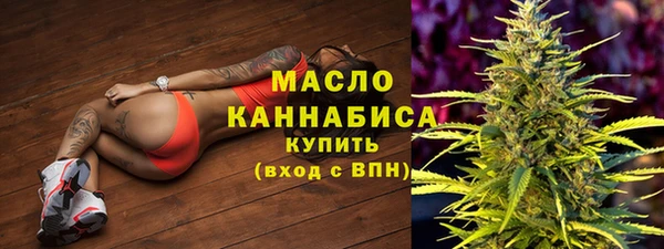 амф Бородино