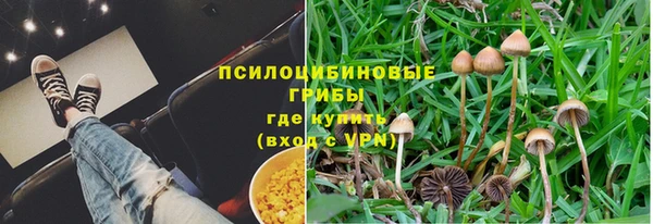 прущая мука Бронницы