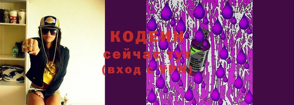 амф Бородино