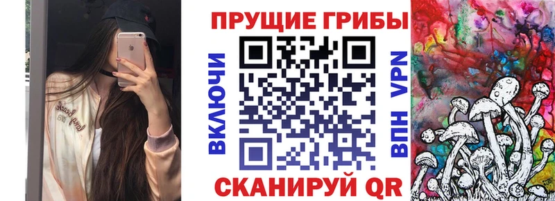 Купить где  Любим  Галлюциногенные грибы прущие грибы 